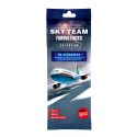 SKY TEAM : TURBULENCES (EXT.) - LUC REMOND
