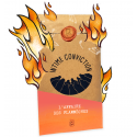 INTIME CONVICTION N6 : L AFFAIRE DES FLAMMECHES - FRANCOIS DESAULNIERS