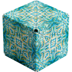 Shashibo : Ocean - Andreas...