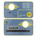 Fallout : Réplique Security Keycard Vault 111 - Limited Edition 11 cm