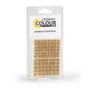 Warhammer Colour - Tufts / Touffes d\'herbe : Mordian Corpsegrass - 66-24