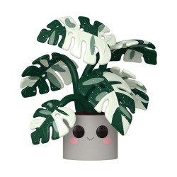 Pop! Flora 13 Monstera Jumbo