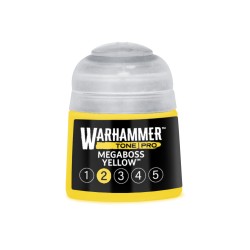 Warhammer Colour - Tone Pro...