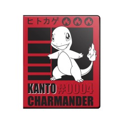 Pokemon - Portfolio 9...