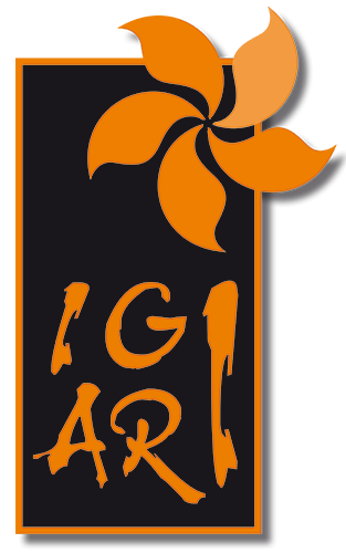 Logo de IGIARI